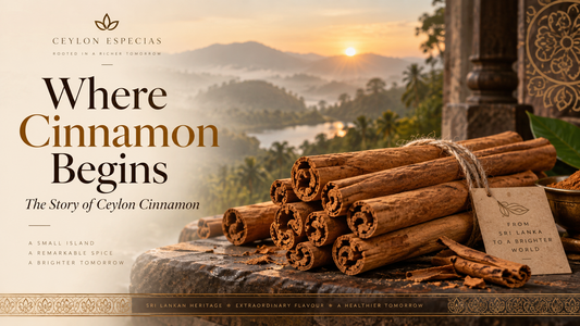 Where Cinnamon Begins